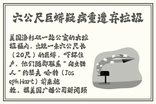国产精品免费视频色无码精东传媒